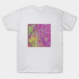 AbstractDiffractionExplosion T-Shirt